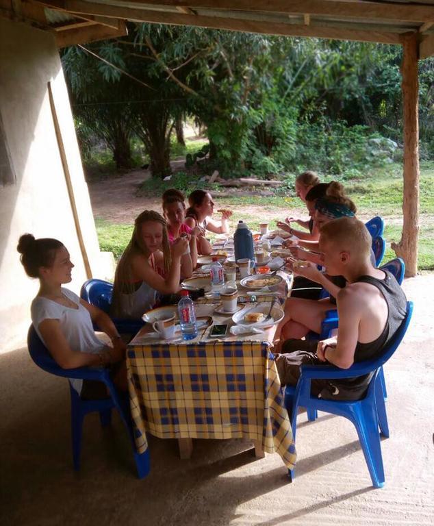 Wli Waterfalls Inn Wli Afegame Екстер'єр фото